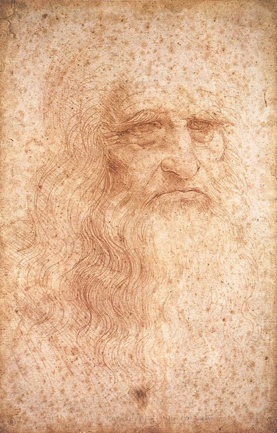 レオナルド・ダ・ヴィンチによる自画像とされる赤チョーク素描(1510年頃、トリノ王立図書館蔵)