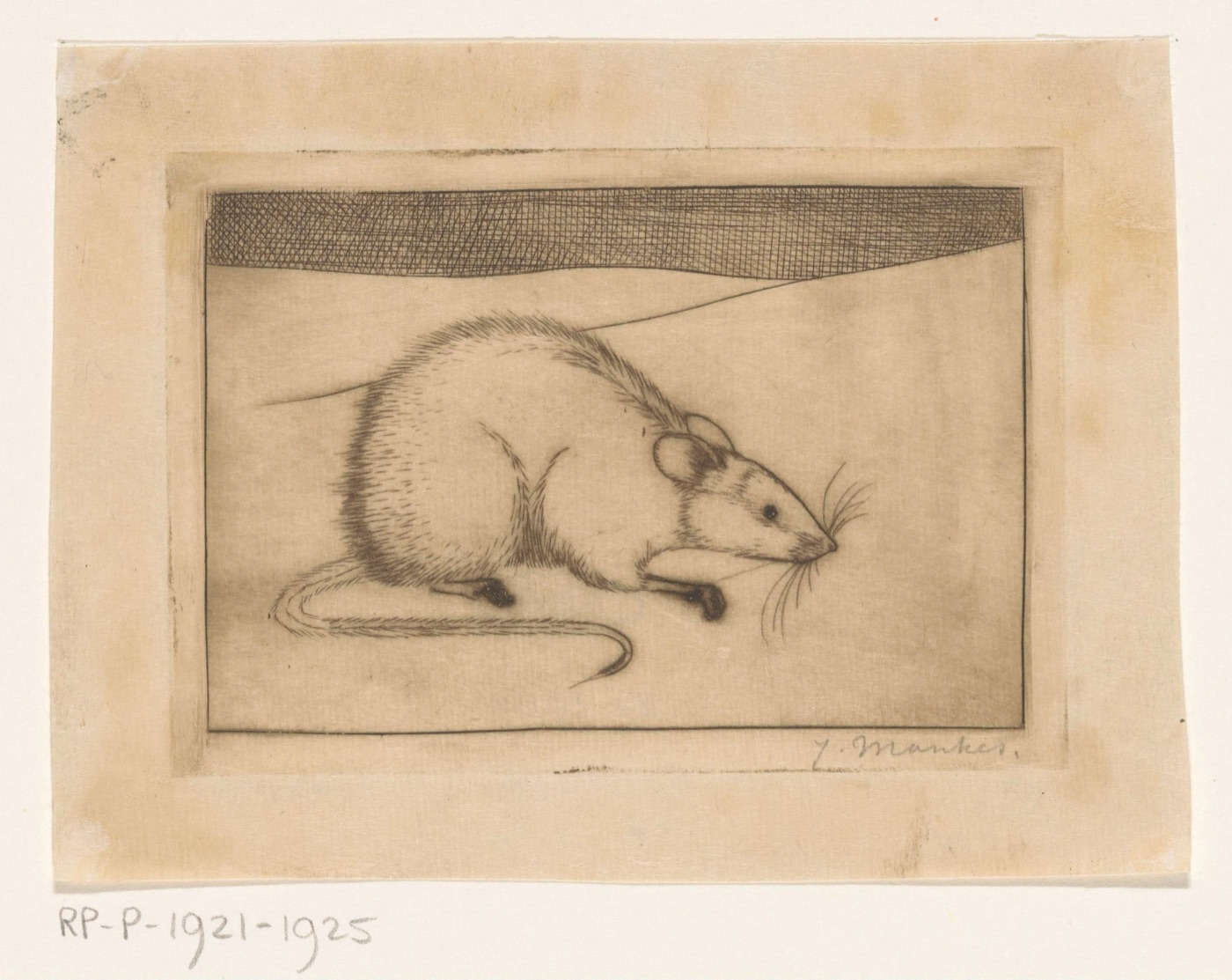 ネズミを描いた古典的な銅版画（エッチング）